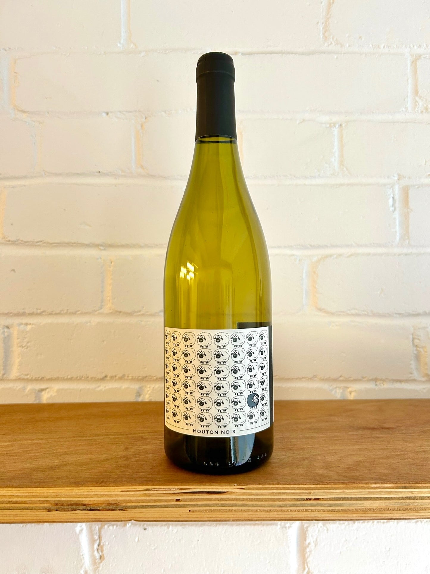 Vincent Caillé Mouton Noir 2024